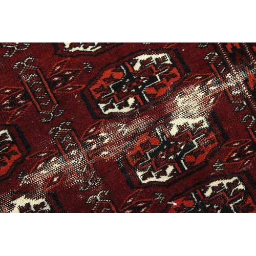 1004 - A BOKHARA RUG, red ground with two rows of eleven gulls (worn). 5ft 4ins x 3ft 2ins.