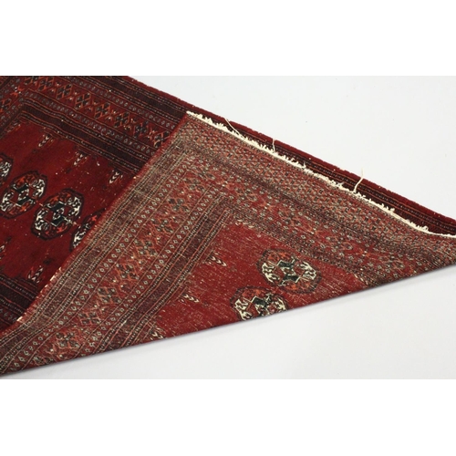 1005 - A BOKHARA RUG, red ground with a single row of nine gulls (worn). 5ft 3ins  x 3ft 4ins.