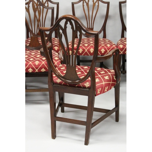 1016 - A SET OF EIGHT GEORGE III MAHOGANY DINING CHAIRS, two with arms, all with shield shaped backs, pierc... 