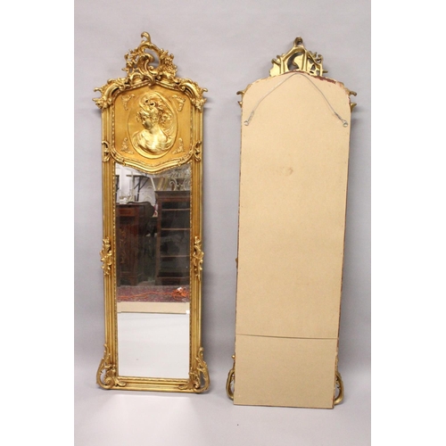 1031 - A LONG PAIR OF UPRIGHT GILT MIRRORS 5ft 9ins long x 1ft 8ins wide.