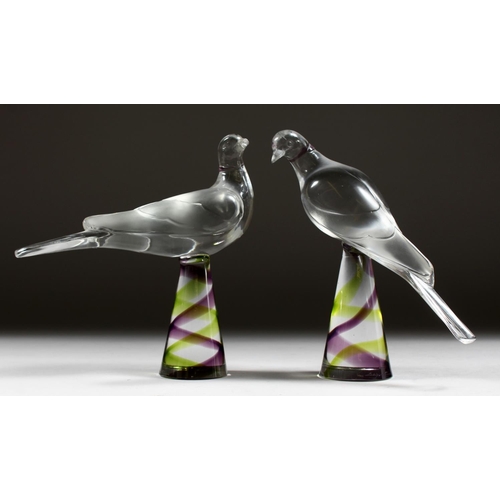 1055 - A PAIR OF LALIQUE GLASS BIRDS on colourful square bases Etched Lalique, France 8ins high.