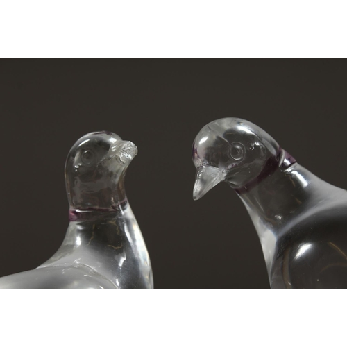 1055 - A PAIR OF LALIQUE GLASS BIRDS on colourful square bases Etched Lalique, France 8ins high.