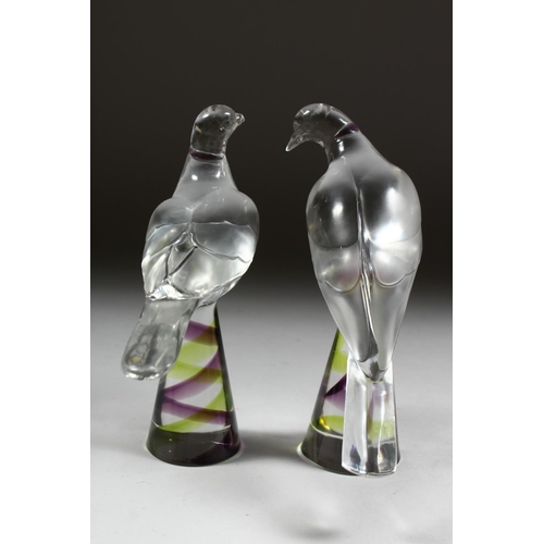 1055 - A PAIR OF LALIQUE GLASS BIRDS on colourful square bases Etched Lalique, France 8ins high.