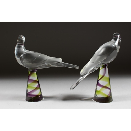 1055 - A PAIR OF LALIQUE GLASS BIRDS on colourful square bases Etched Lalique, France 8ins high.