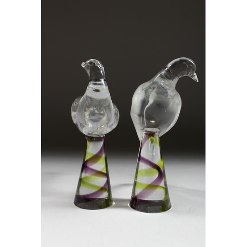 1055 - A PAIR OF LALIQUE GLASS BIRDS on colourful square bases Etched Lalique, France 8ins high.