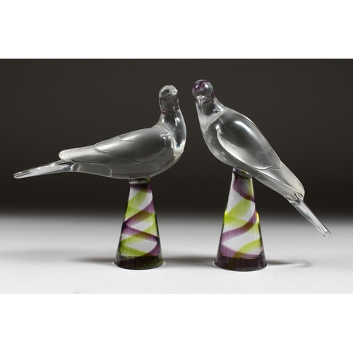 1055 - A PAIR OF LALIQUE GLASS BIRDS on colourful square bases Etched Lalique, France 8ins high.