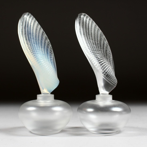 1056 - TWO LALIQUE SCENT BOTTLES AND STOPPERS Etched Lalique, France, 6.5ins high.