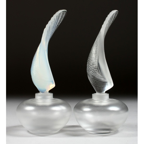 1056 - TWO LALIQUE SCENT BOTTLES AND STOPPERS Etched Lalique, France, 6.5ins high.