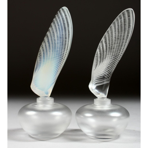 1056 - TWO LALIQUE SCENT BOTTLES AND STOPPERS Etched Lalique, France, 6.5ins high.