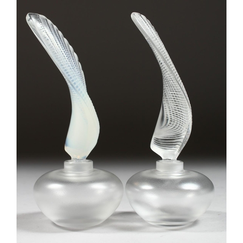 1056 - TWO LALIQUE SCENT BOTTLES AND STOPPERS Etched Lalique, France, 6.5ins high.