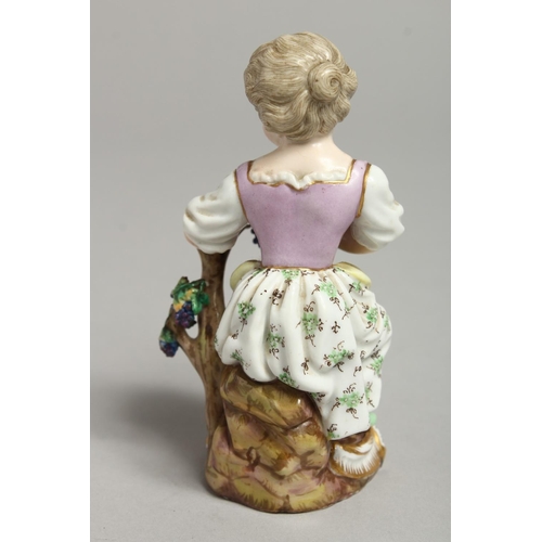 1093 - A 19TH CENTURY MEISSEN FIGURE OF A GIRL holding a bunch of grapes, seated on a tree stump.