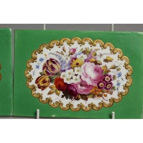 1099 - A 19TH CENTURY SEVRES TYPE PAIR OF PLAQUES painted with English flowers in a raised gilt panel on a ... 