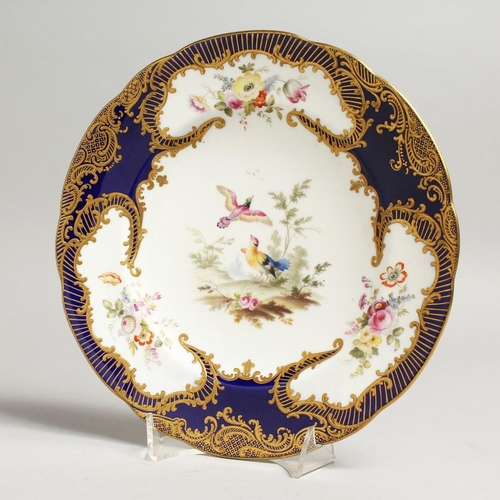 1105 - A 19TH CENTURY COALPORT PLATE decorated in the manner of Sevres, painted by Wm. Cook with colourful ... 