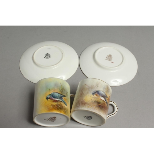 1112 - A ROYAL WORCESTER COFFEE CAN AND SAUCER painted with a wood pigeon or a snipe by Jas Stinton. Signed... 