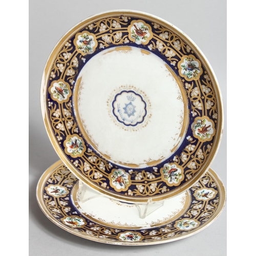 1117 - A SUPERB COALPORT COMPORT with A M D crest, with superb blue and gold border, painted with vignettes... 