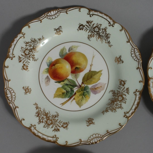 1195 - A GOOD SET OF TWELVE MINTON BOTANICAL PLATES  painted by J. Cole and others.