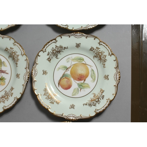 1195 - A GOOD SET OF TWELVE MINTON BOTANICAL PLATES  painted by J. Cole and others.