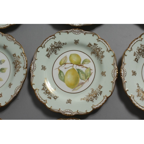 1195 - A GOOD SET OF TWELVE MINTON BOTANICAL PLATES  painted by J. Cole and others.