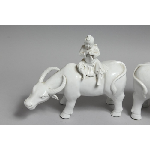 1235 - A PAIR OF CHINESE BLANC DE CHINE FIGURES OF BOYS SEATED ON WATER BUFFALO. 11ins long.