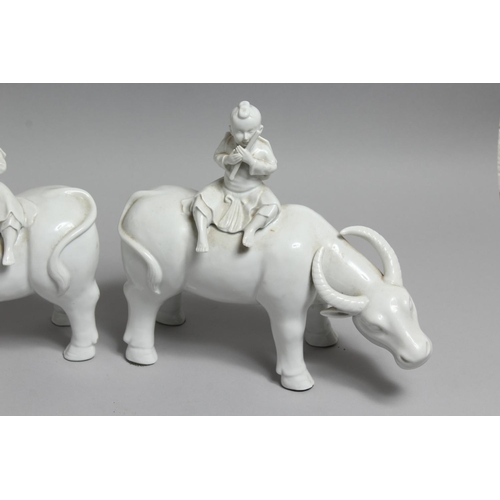 1235 - A PAIR OF CHINESE BLANC DE CHINE FIGURES OF BOYS SEATED ON WATER BUFFALO. 11ins long.