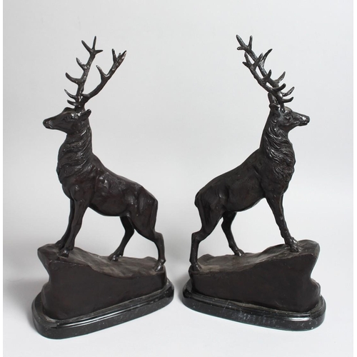 1262 - AFTER MOIGNER, A PAIR OF BRONZE STAGS on marble bases. 17ins high.