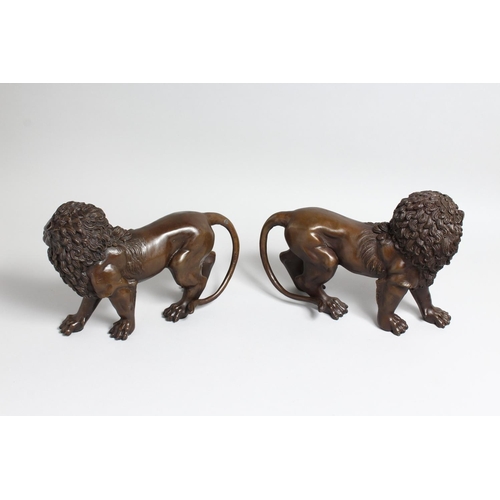 1263 - A PAIR OF BRONZE STANDING LIONS 12.5ins high.