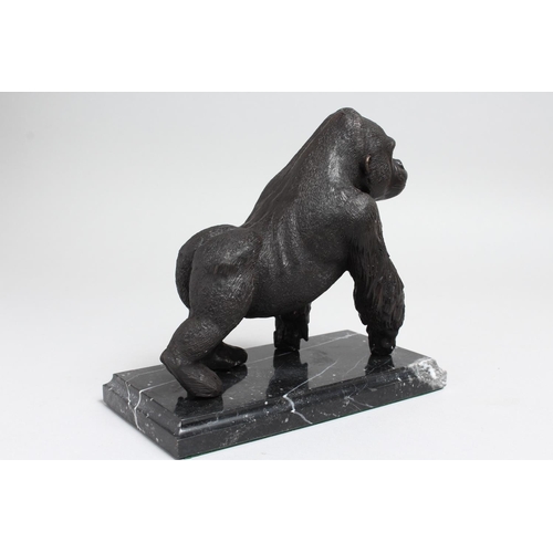 1265 - A BRONZE MODEL OF A GORILLA on all fours, on a marble base. 8ins long.