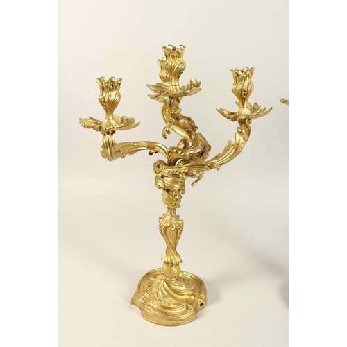 1334 - A GOOD PAIR OF ROCOCO ORMOLU FOUR LIGHT CANDELABRA, with four naturalistic scrolling branches on a b... 