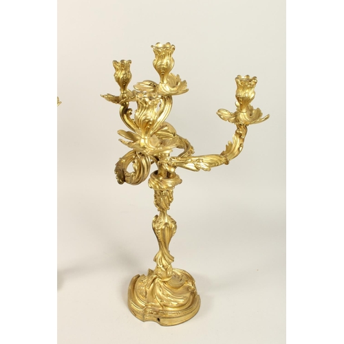 1334 - A GOOD PAIR OF ROCOCO ORMOLU FOUR LIGHT CANDELABRA, with four naturalistic scrolling branches on a b... 