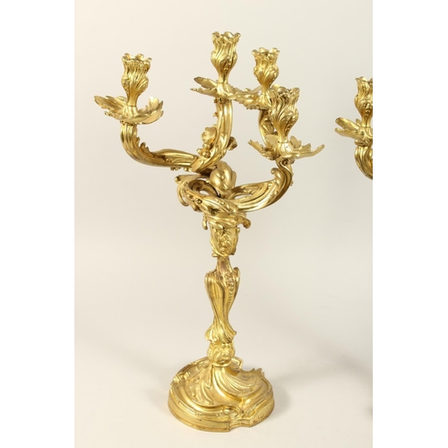 1334 - A GOOD PAIR OF ROCOCO ORMOLU FOUR LIGHT CANDELABRA, with four naturalistic scrolling branches on a b... 