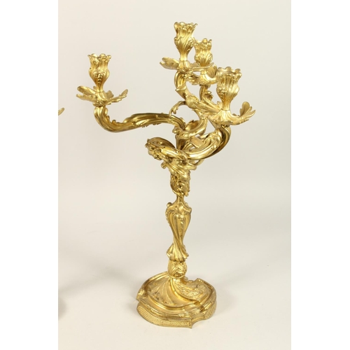 1334 - A GOOD PAIR OF ROCOCO ORMOLU FOUR LIGHT CANDELABRA, with four naturalistic scrolling branches on a b... 