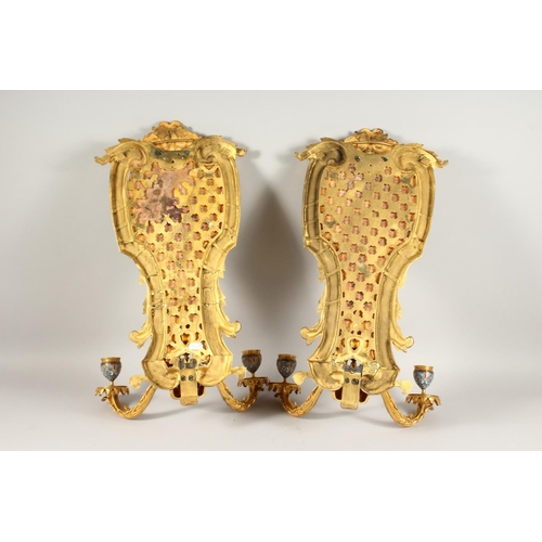 1336 - A SUPERB PAIR OF FRENCH, ORMOLU AND ENAMEL TWO LIGHT WALL SCONCES WITH ACANTHUS AND SCROLLS 22ins lo... 