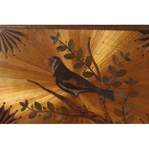 1338 - A RARE NAPOLEONIC STRAW WORK PICTURE, a bird on a branch with fruiting vine border, 10ins x 13.5ins,... 