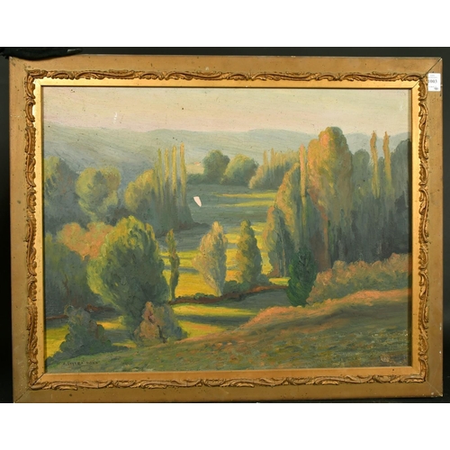 1003 - A. Seyrac, French School, a Southern summer landscape, oil on panel, signed, 19.75