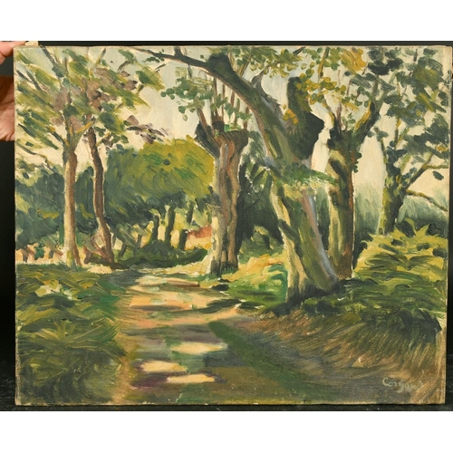 1035 - 20th Century French School, 'Foret d'Ainoha', oil on canvas, indistinctly signed, 15