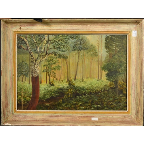 1039 - 20th Century French School, two oil landscapes, both indistinctly signed, both around 16