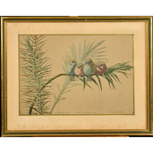 1040 - Felix Albert, a group of 3 hand coloured prints of small birds, 7.25