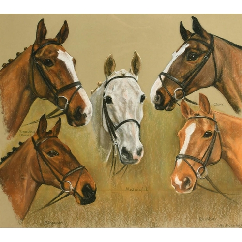 1365 - Mary Browning (20th Century) British, head studies of five horses, pastel, signed and inscribed and ... 