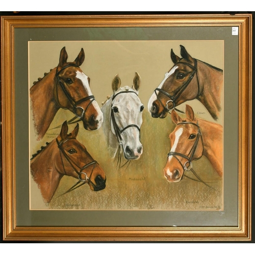 1365 - Mary Browning (20th Century) British, head studies of five horses, pastel, signed and inscribed and ... 