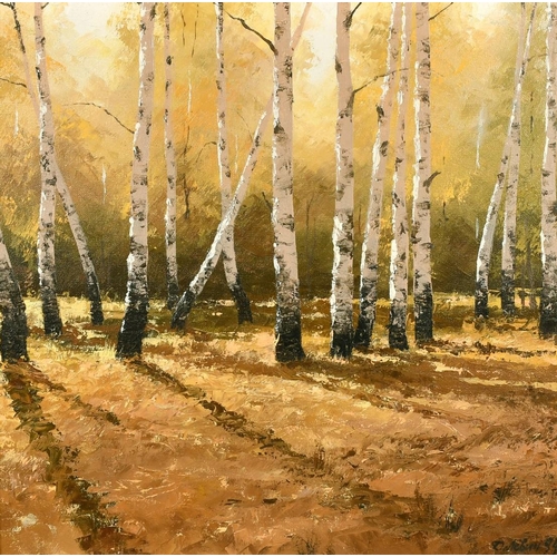 1641 - 20th Century Russian School, Sunlight through the trees oil on canvas, signed and dated 1994, 21.75