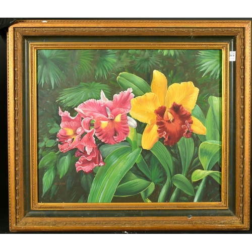 2020 - Klein, Orchids, oil on canvas, signed, 19.75