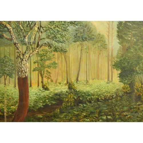 2070 - 20th Century French School, two oil landscapes, both indistinctly signed, both around 16