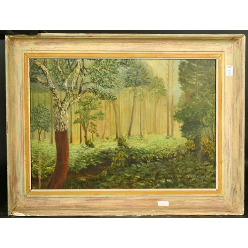 2070 - 20th Century French School, two oil landscapes, both indistinctly signed, both around 16