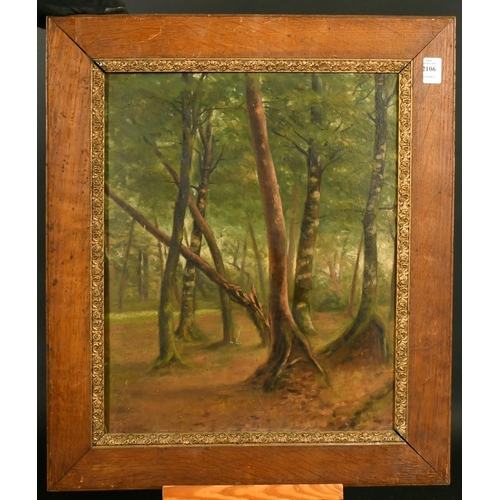 2106 - 19th Century French School, a study of trees in a woodland glade, oil on mahogany panel, 18