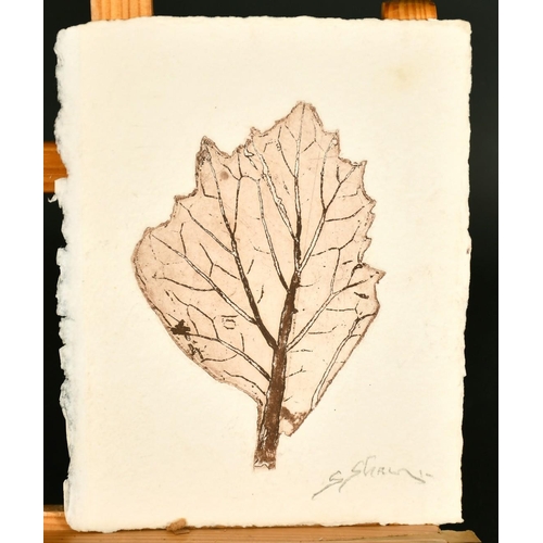 2222 - Stella Shawzin (b.1923) South African, a collection of six etchings featuring leaves.