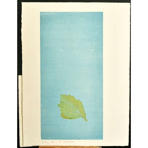 2222 - Stella Shawzin (b.1923) South African, a collection of six etchings featuring leaves.