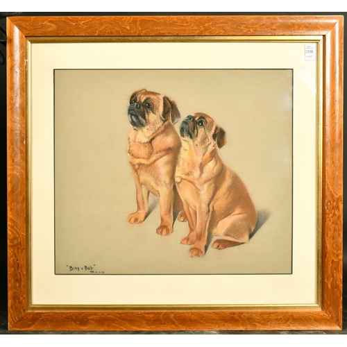 2338 - Phyllis Binet, (20th Century) A study of the Pugs, 'Bing and Bob', pastel, inscribed, initialled, an... 