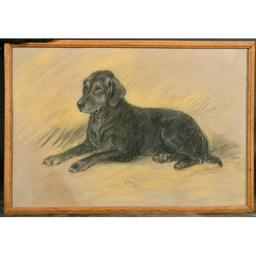 2339 - Lucy Dawson (1875-1954) British, Study of a black Labrador Roy, pastel, inscribed, signed, and dated... 