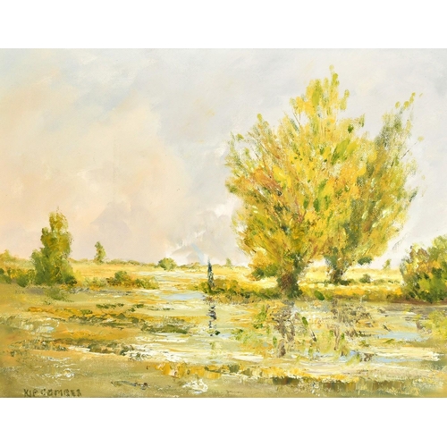 2571 - Kip Combes (20th Century), a view of a river through lowlands, oil on canvas, signed, 14