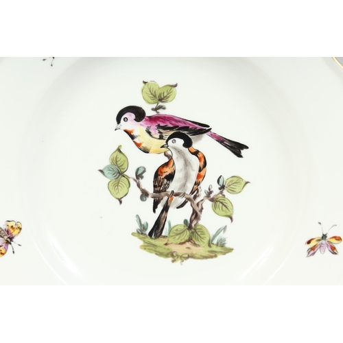 1164 - A GOOD MEISSEN CIRCULAR PLATE painted with birds Cross swords mark in blue. 9.5ins diameter.